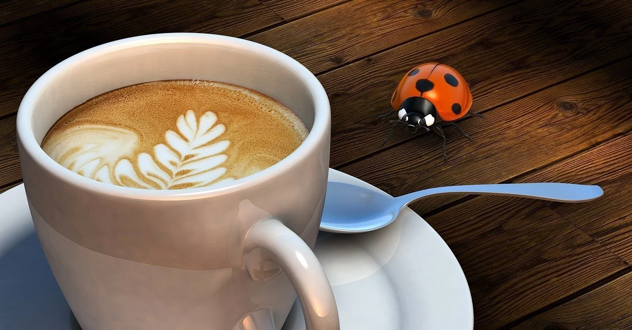 how long do you perk coffee in a percolator?