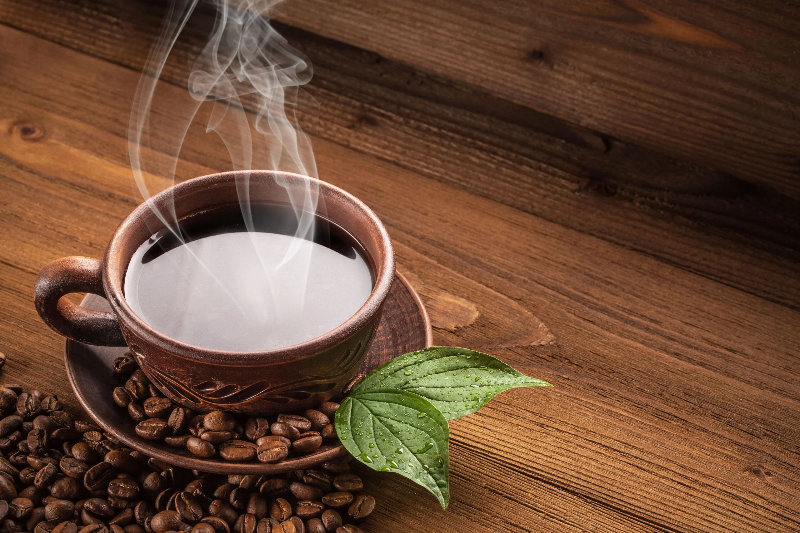 Arabica Vs Robusta Coffee Difference