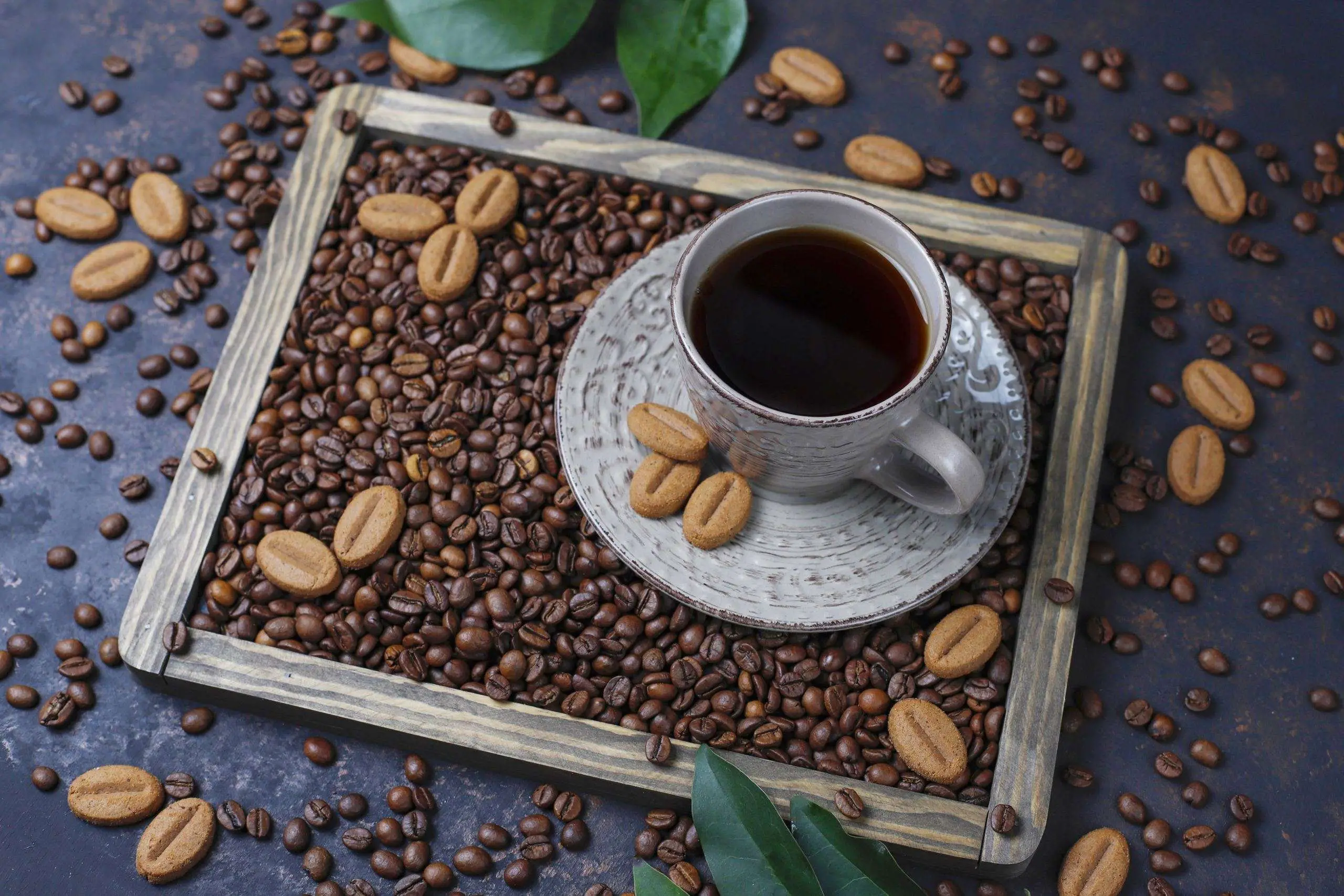 what is arabica coffee bean