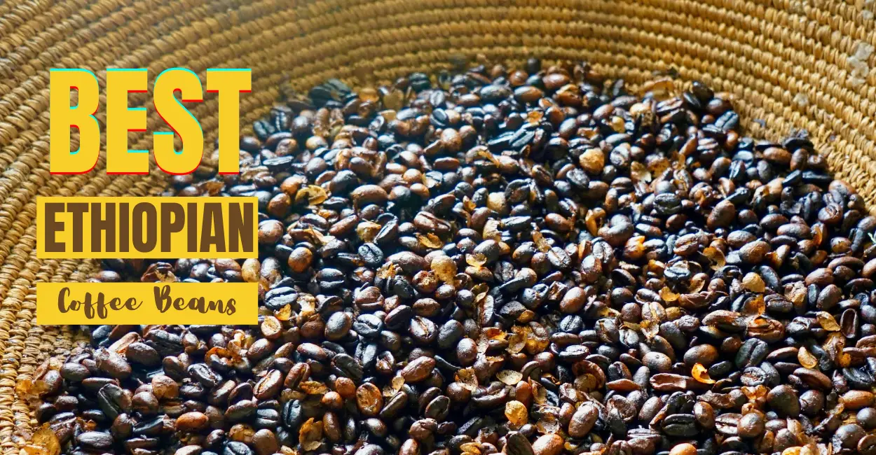 Best Ethiopian Coffee Beans