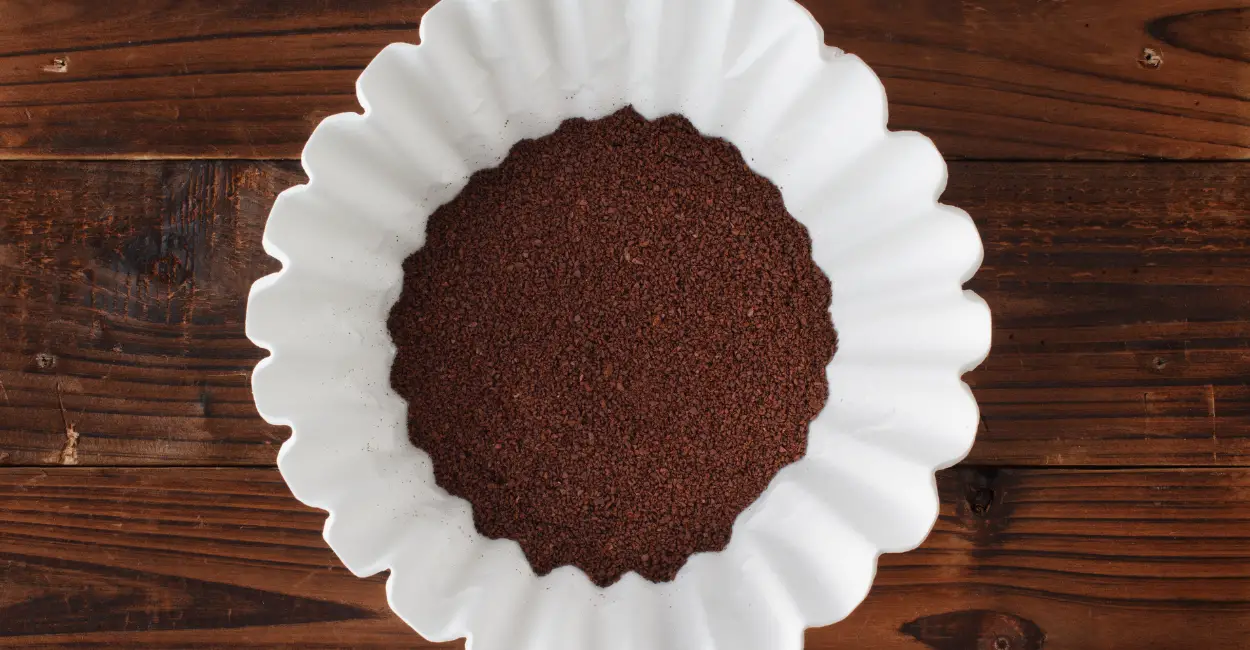 White Paper Coffee Filter