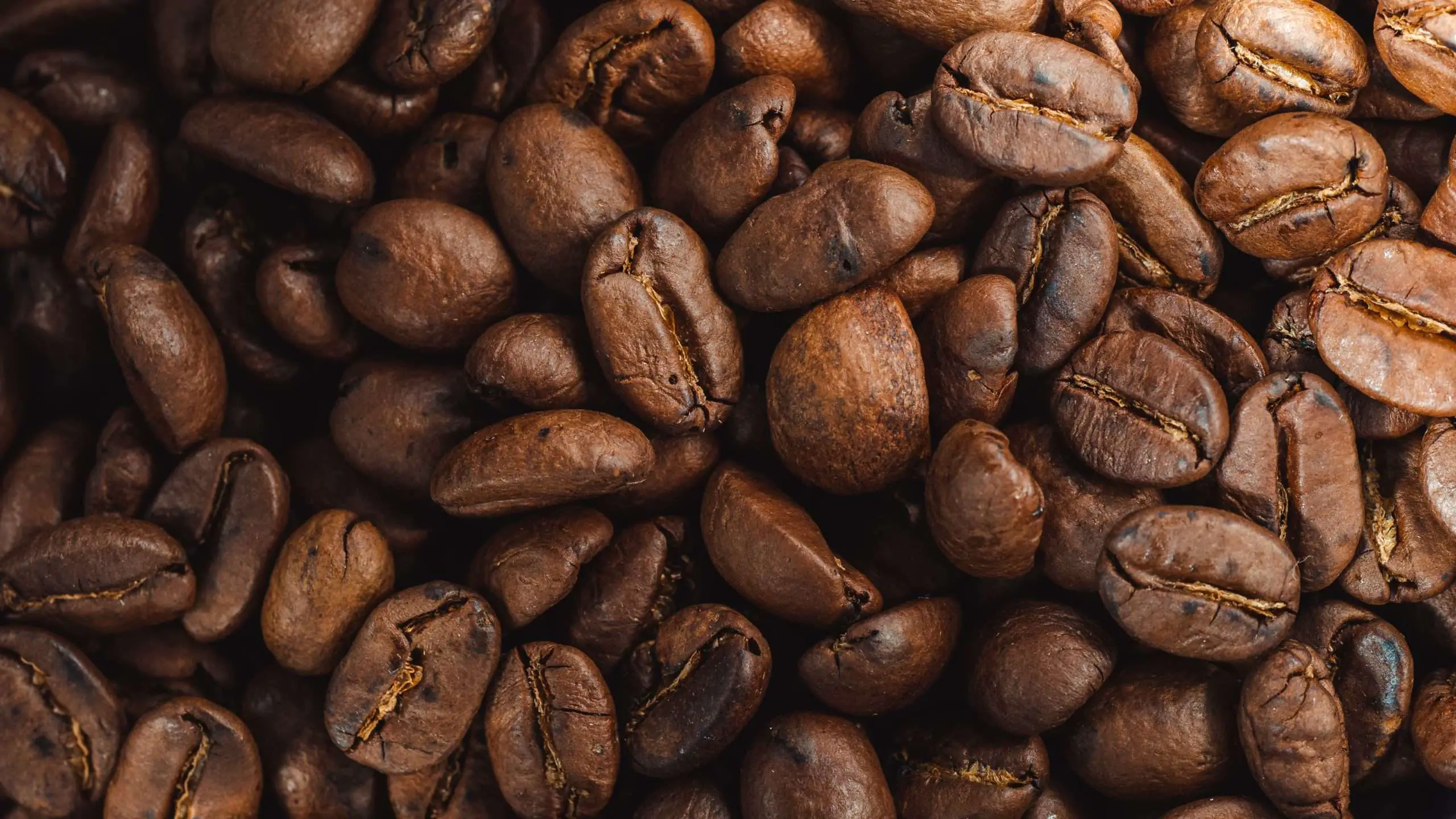 Closeup shot of fresh coffee beans-coffee texture