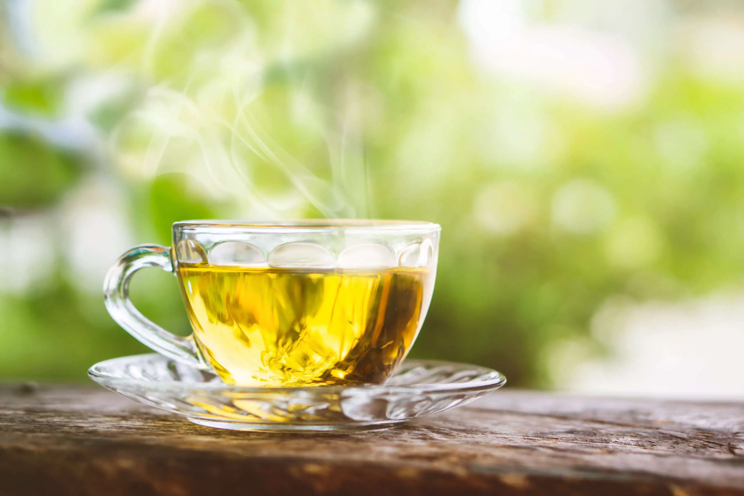 main types of tea yellow tea